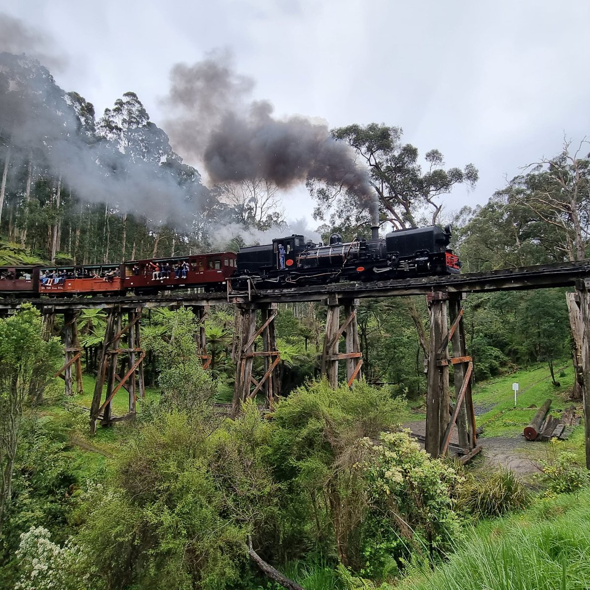 mikenarrowgauge's tweet photo. Calling all #narrowgauge Beyer-Peacock #Garratt fans, here's NGG16 129 crossing the #Monbulk trestle bridge near #Belgrave on the #PuffingBilly Railway @puffingbillyr in @Melbourne 🍺😎🇬🇧🇦🇺👍
@NarrowGaugeWrld @NarrowGaugeBlog @RailfanDepot https://t.co/22M2hNPmXg