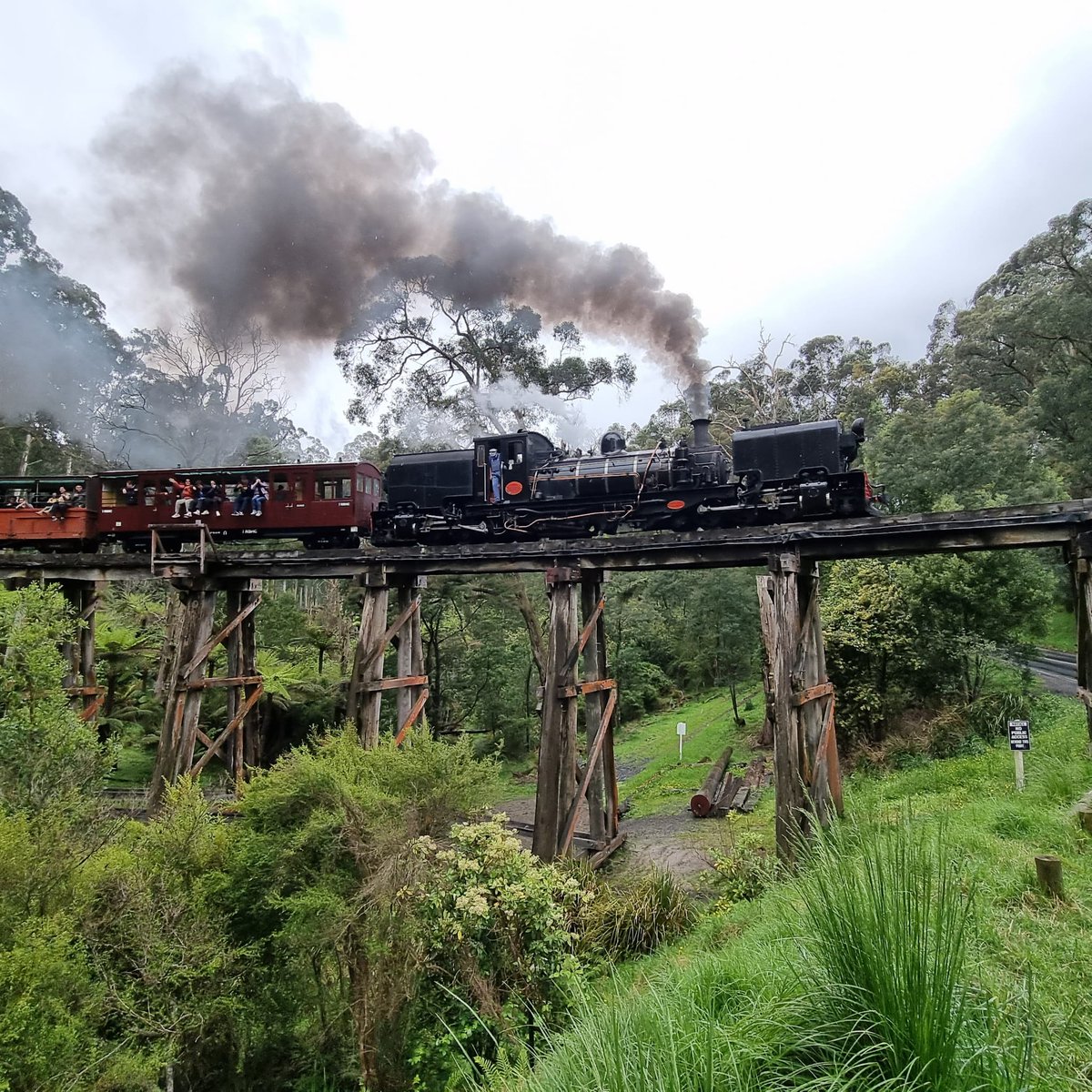 mikenarrowgauge's tweet photo. Calling all #narrowgauge Beyer-Peacock #Garratt fans, here's NGG16 129 crossing the #Monbulk trestle bridge near #Belgrave on the #PuffingBilly Railway @puffingbillyr in @Melbourne 🍺😎🇬🇧🇦🇺👍
@NarrowGaugeWrld @NarrowGaugeBlog @RailfanDepot https://t.co/22M2hNPmXg