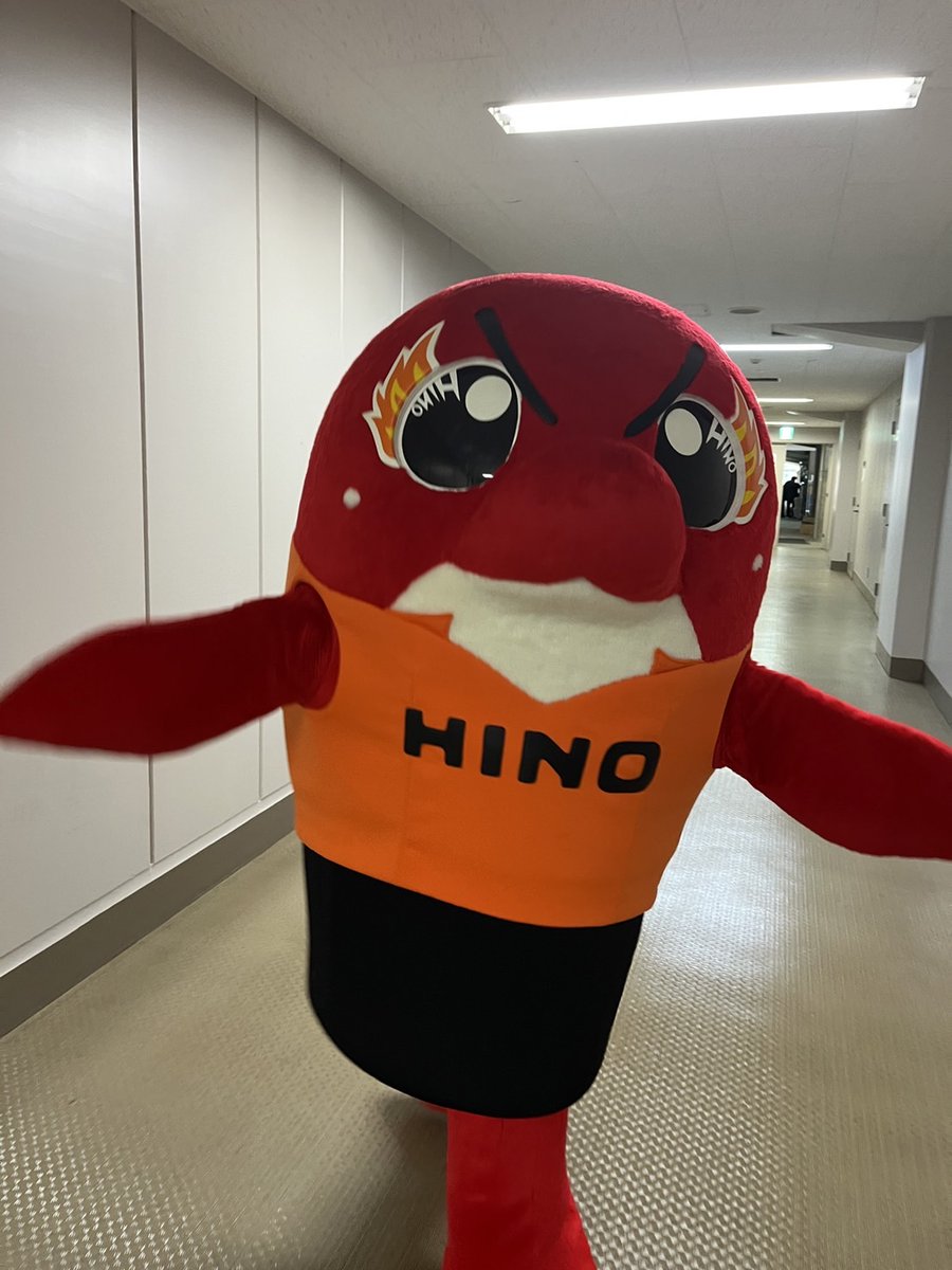 hinoreddolphins's tweet photo. 🔴🐬

チームは大分・別府でキャンプ中！！
だけど、
赤いるかちゃんは #秩父宮ラグビー場 で楽しみますーーー♪♪

#日野レッドドルフィンズ
#赤いるかちゃん
#JAPANRUGBYAUTUMNFEST2022 https://t.co/0rLeOusyro