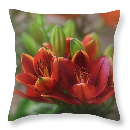 Accent with this! Beautiful Lily print on the perfect Throw Pillow. Various sizes available.

Get It: fon-denton.pixels.com/featured/bold-…

#HomeDecor #Pillow #Flowers #FlowerPrint #BuyIntoArt #HomeDecorIdeas #AccentPillow
#GiftIdeas #interiorstyling #Lily #Decor #ShopEarly #decorate
