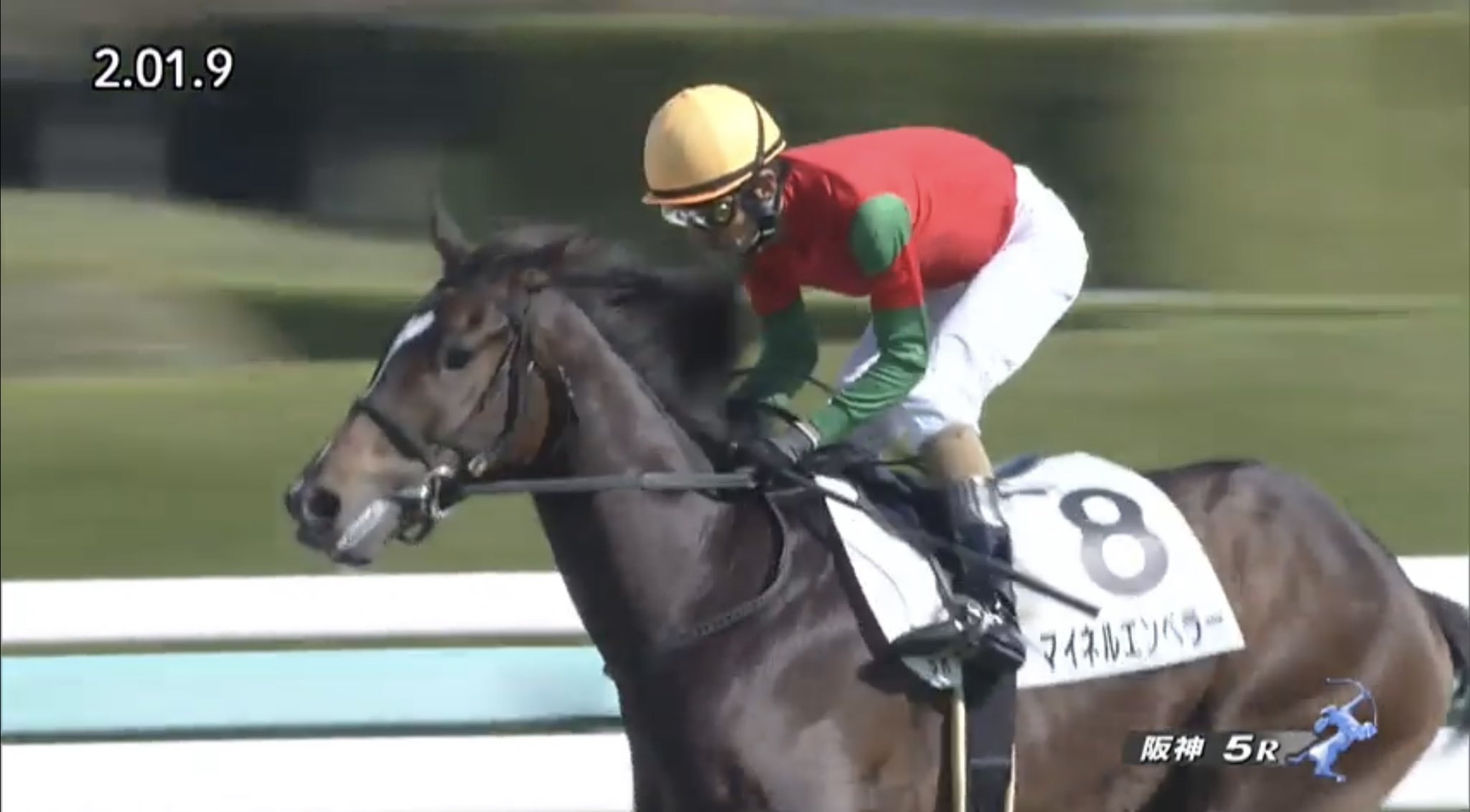 競馬 ヨカヨカ レインボーカード15枚限定