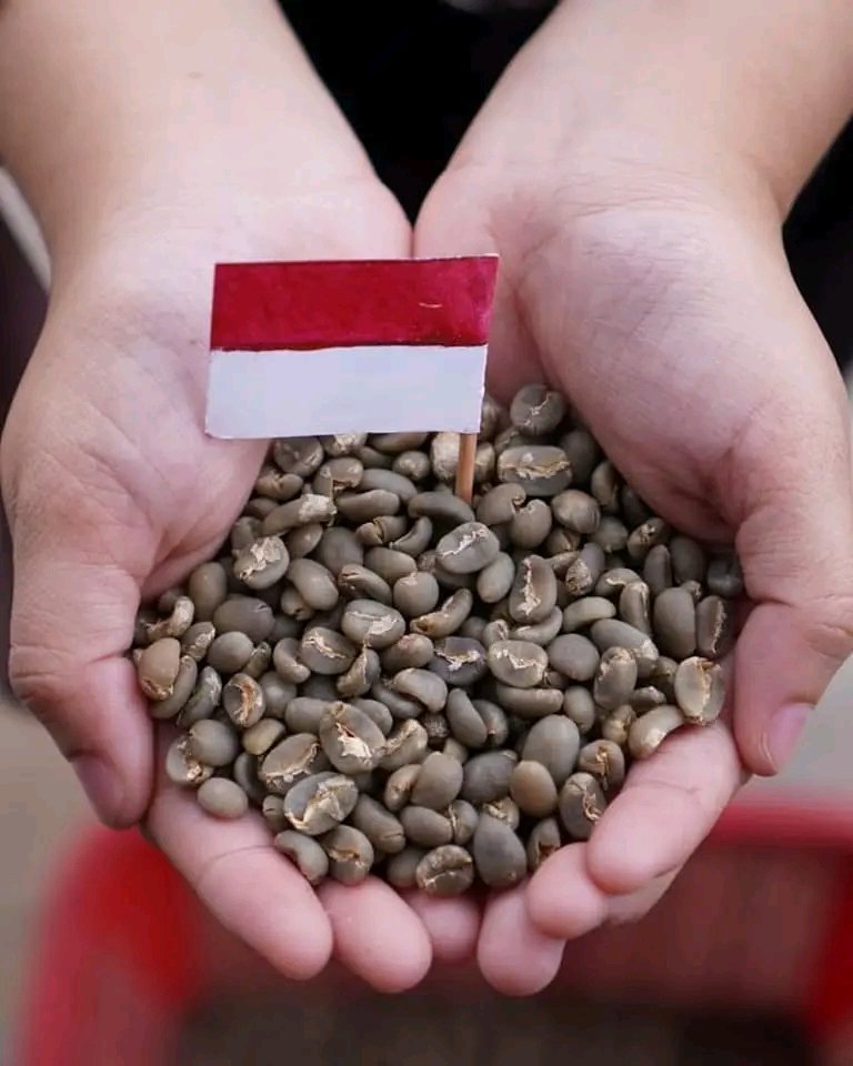 Robusta (Bengkulu-Sumatera-Indonesia)
#coffee #CoffeeTime #robusta #Indonesia #coffeetwitter #coffeebreak