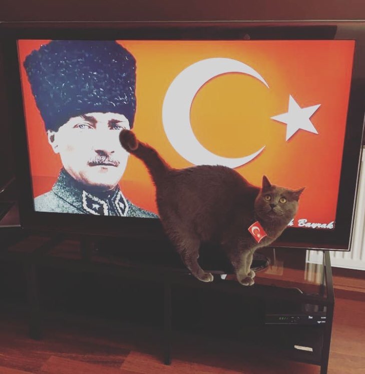 𝕭𝖑𝖆𝖈𝖐𝖙𝖗𝖊𝖊 (@blacktreedj) on Twitter photo 