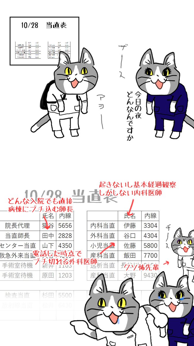 #現場猫 #看護師
戦う前に負けている。 