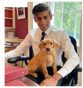 GVishvanaath's tweet photo. I received this in a WhatsApp forward and enjoyed it.
I am not sure if the picture is genuine or fake but the message rings true. In British India, there were clubs where dogs and Indians were not allowed. Now dogs and Indians are allowed at 10 Browning (Oops! Downing) street! https://t.co/ufccUD3iUR