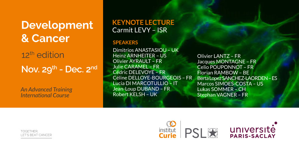 Institut Curie tweet media