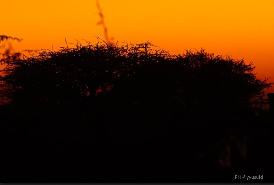 yyusufd's tweet photo. Meanwhile in Somaliland's capital city Hargeisa and the  golden hour.  
 Brisk wintry morning 13° moments before the morning prayers and drops to 15°. My season has finally arrived 👊🏼 https://t.co/ZvqoIfcIWj