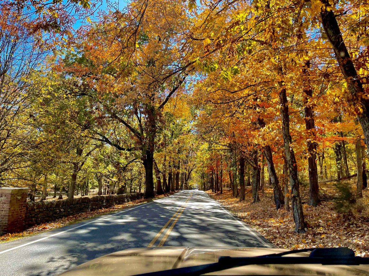 SergPosts's tweet image. Outstanding October