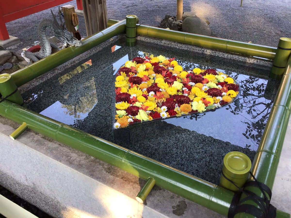 fusebenten's tweet photo. 今回の花手水は秋色です💛🧡❤️花手水の時は柄杓を撤収してしまい手水舎をご利用頂けなかったのですが、この度柄杓レスで手をお清めできるようパワーアップ致しましたので合わせてご覧ください😄
#布施弁天 #柏市 #寺 #花手水 #ハート https://t.co/ZTtb04TJbk