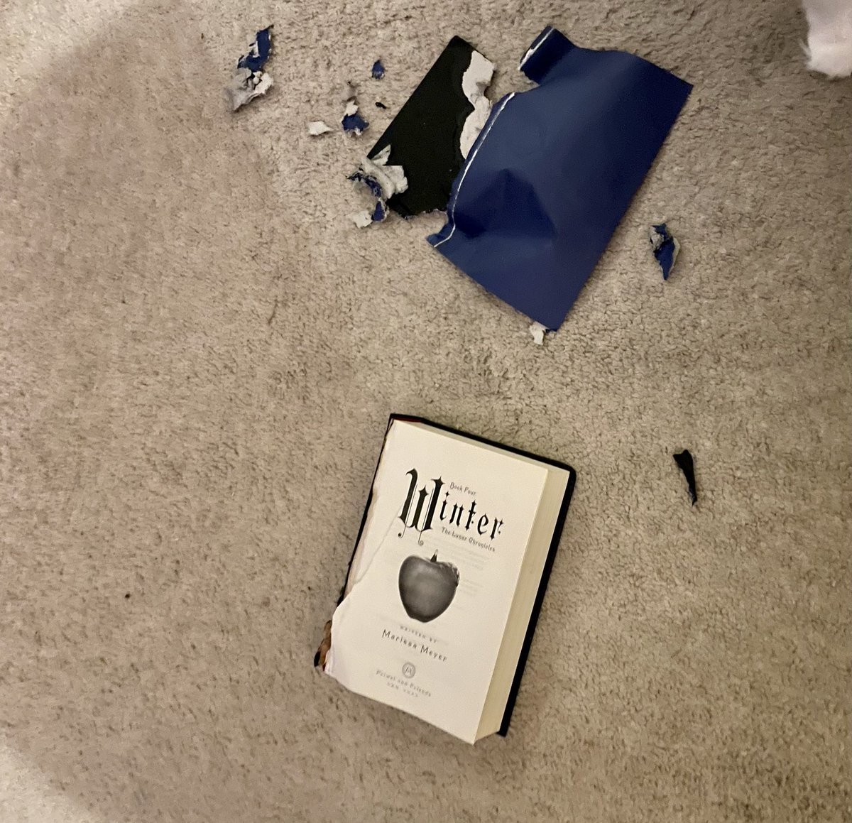 mrstechbrarian's tweet photo. Apparently, my dog was not a fan of Winter by @marissameyer 😫 Not me over here crying because I had just found a copy with the original cover. 😭😭😭 #thelunarchronicles https://t.co/IJgemjsM3q