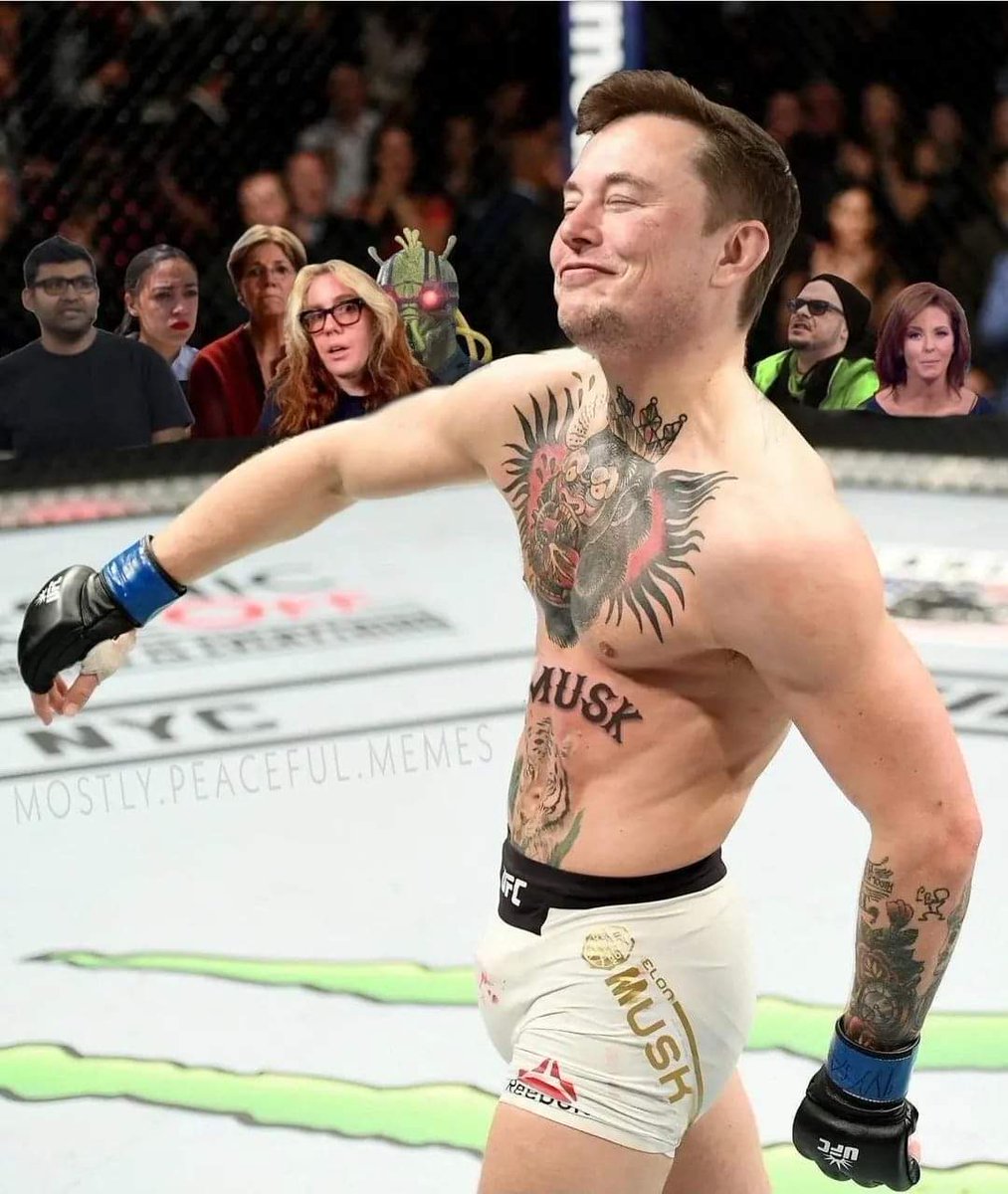 And the blood bath continues 🤣👏👏👏
<a href="/elonmusk/">Elon Musk</a> about time someone cleaned up 😎