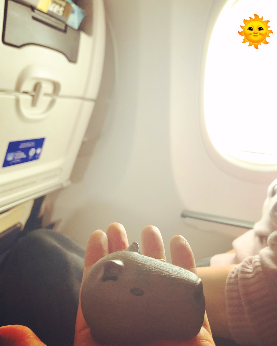 CapySkull's tweet image. Traveling alone? No anymore. ☻-☻ @CapySkull travel buddy. 🥔✈️ #Capybara #travel