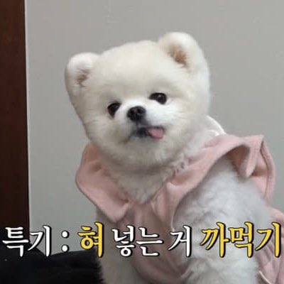 특기: 혀 넣는 거 까먹기