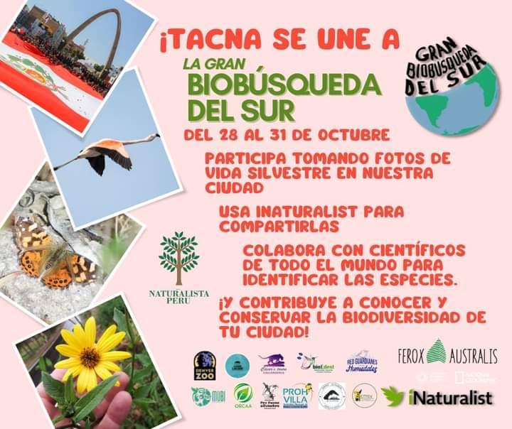 GSB América do Sul tweet media