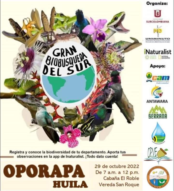 GSB América do Sul tweet media