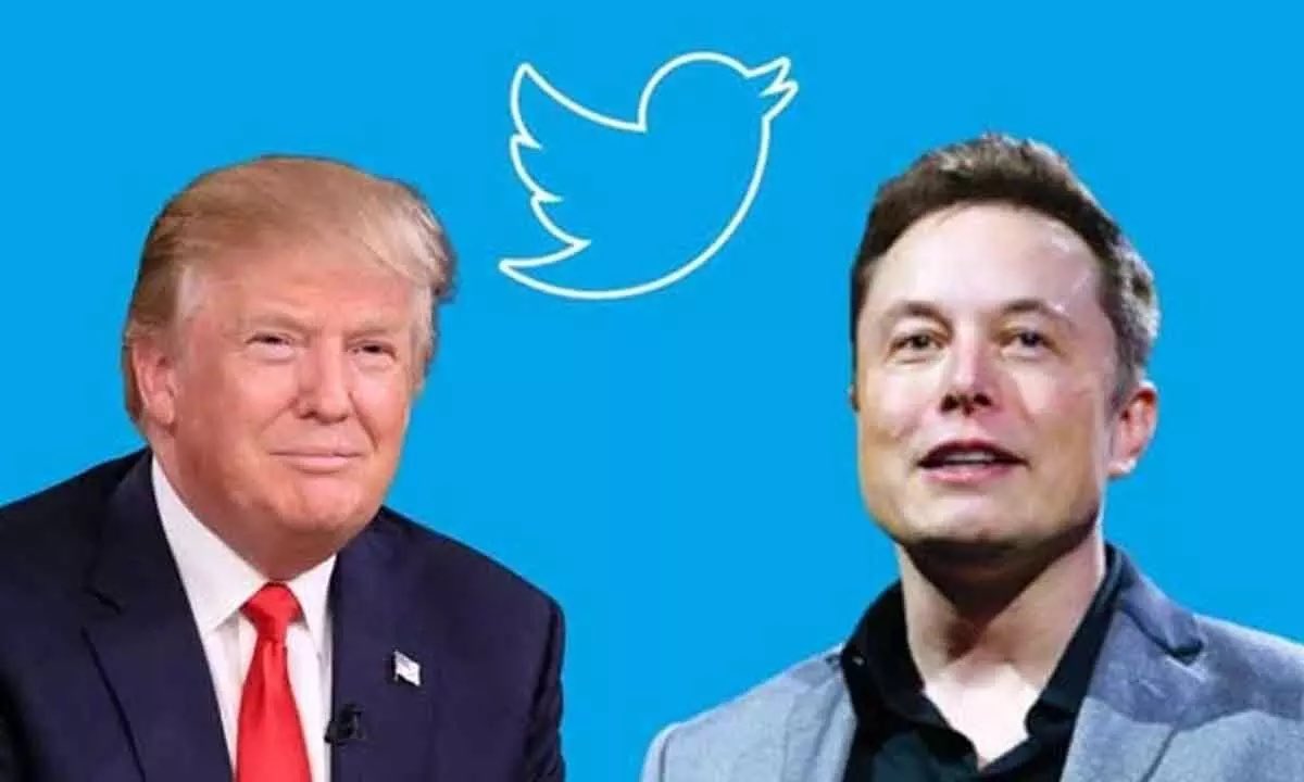 uniondelegate's tweet image. Donald Trump bought Twitter through Elon Musk might actually come out as headline news one day