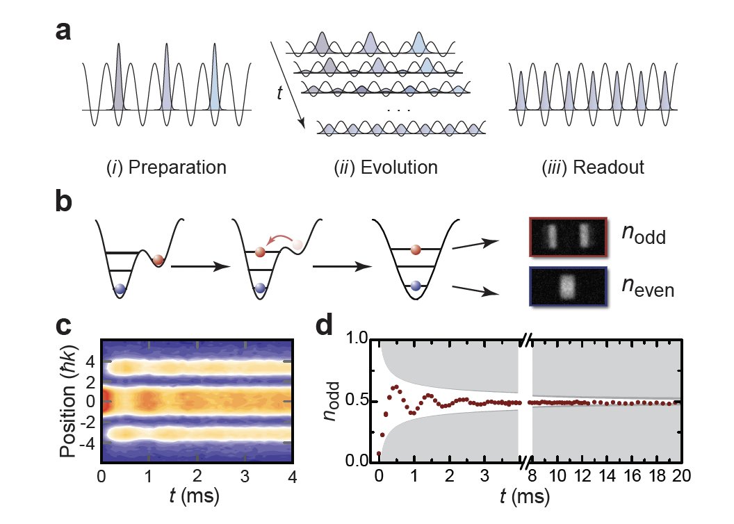 jenseisert's tweet image. A superlattice configuration breaking full translational invariance made the observation of the convergence to an apparent stationary state through #nonequilibriumdynamics possible.

nature.com/articles/nphys…