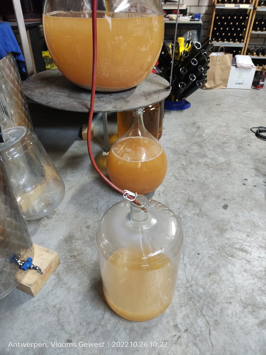 Wgd5h's tweet photo. @udenVH Bij mij heeft Johanniter 25 dagen gegist. Oe was 89, nog nooit gehaald.  Gebruikte gist Ceg. Omgevingstemperatuur zat tss 14,5 en 16,5 graden. Maar bij de laatste 25% wordt het koeler in de vergistingstank en dit kan Ceg niet goed hebben, min temperatuur 18. https://t.co/cNlI6lEbUs