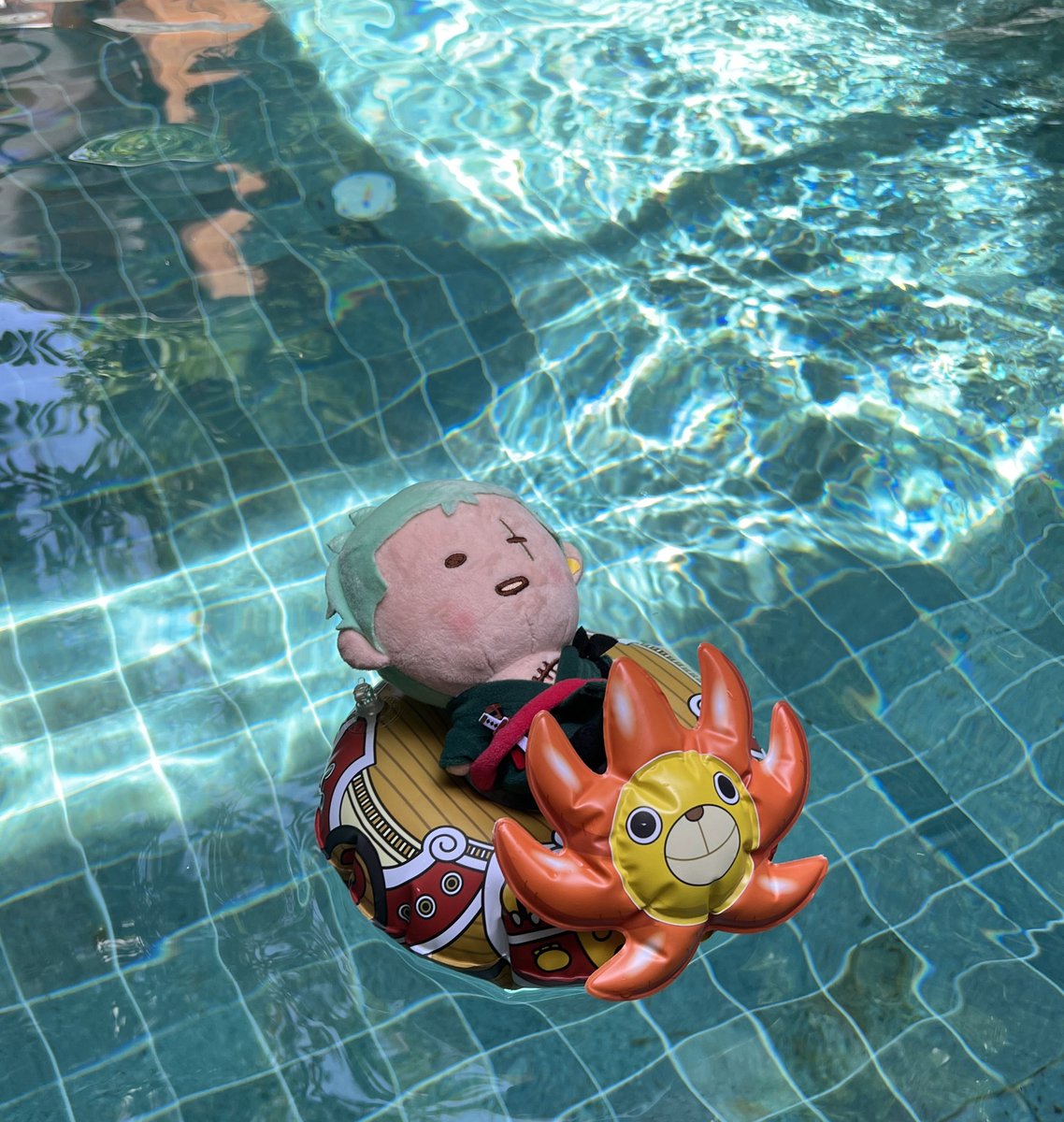 withcrytocoa's tweet photo. ฉันจะออกทะเล🌊⚓️ https://t.co/158K9V0ja2