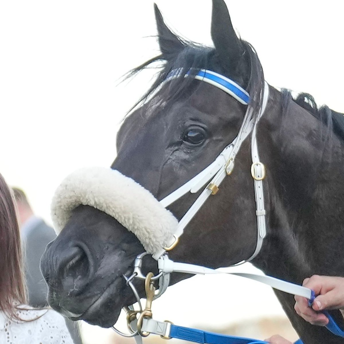 Racing.com tweet media