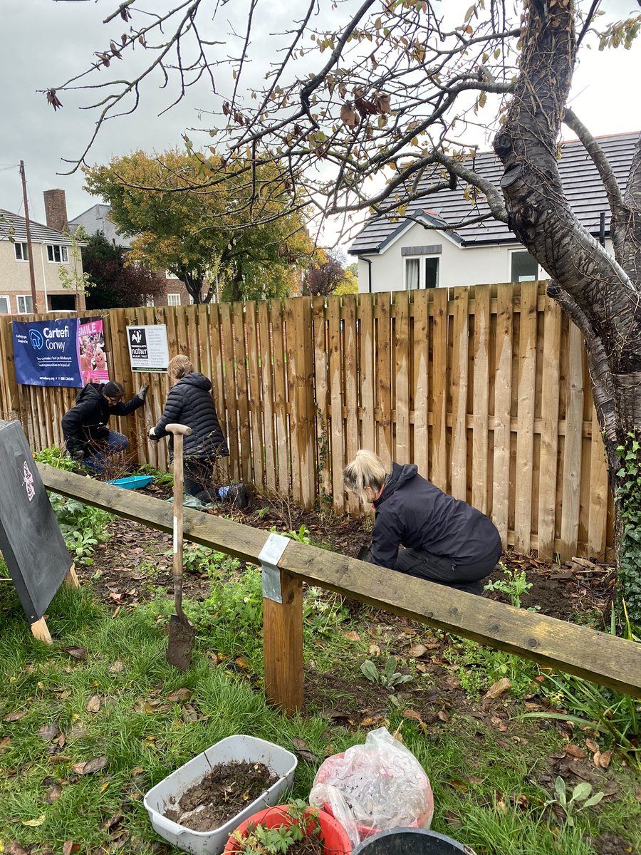 CeFfion's tweet photo. 🌼 Enjoyed getting stuck in with @North_Wales_WT planting wildflowers this morning. Looking forward to revisiting in the spring to see how the flowers have grown 🌸 This will look lovely outside of @CartrefiConwy Cwrt Ysgol Maelgwn development. https://t.co/wdEFHQ8K29