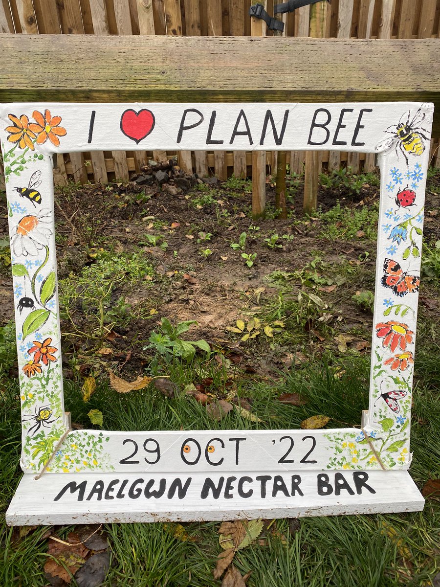 CeFfion's tweet photo. 🌼 Enjoyed getting stuck in with @North_Wales_WT planting wildflowers this morning. Looking forward to revisiting in the spring to see how the flowers have grown 🌸 This will look lovely outside of @CartrefiConwy Cwrt Ysgol Maelgwn development. https://t.co/wdEFHQ8K29