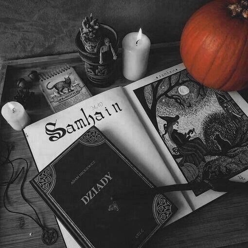 pretty_ukrainia's tweet photo. ㅤㅤㅤㅤㅤㅤㅤㅤㅤㅤㅤㅤㅤㅤㅤㅤㅤㅤㅤㅤㅤㅤㅤㅤㅤㅤㅤㅤ[🕯️🎃]

«на самайн кордон особливо тонкий, а влада прірви – могутня».

[ #halloween #samhain #autumn #aesthetic ] https://t.co/f7DV4MPvuX