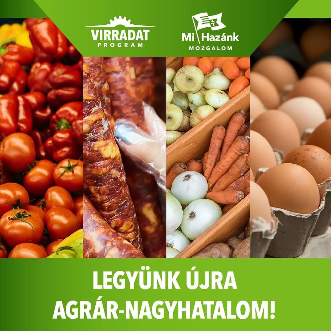 docsdavid_'s tweet photo. Földrajzi elhelyezkedésünk és éghajlatunk, vízkészletünk és termőhelyi adottságainknál fogva egy agrár-nagyhatalom lehetnénk, ehelyett lassan egy autóipari összeszerelő üzemmé züllünk.
#dócsdávid #mihazánk #virradatprogram https://t.co/8Q44GpKuCw