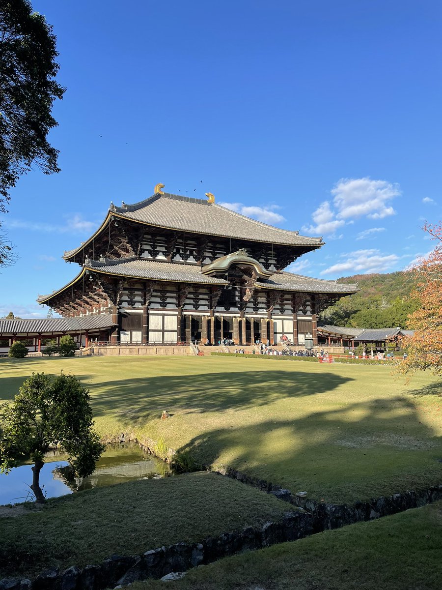 triparnasen's tweet photo. After some amazing science of @IASLC #ACLC22, soaking up on the sun and sights of beautiful Nara, Japan. Lovely spending time with these amazing colleagues. @HwakeleeMD @karenkellymd #womeninthoraciconcology #lungcancer https://t.co/EGM6vpsLps