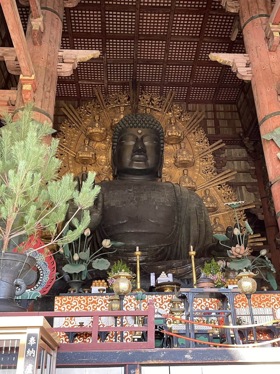 triparnasen's tweet photo. After some amazing science of @IASLC #ACLC22, soaking up on the sun and sights of beautiful Nara, Japan. Lovely spending time with these amazing colleagues. @HwakeleeMD @karenkellymd #womeninthoraciconcology #lungcancer https://t.co/EGM6vpsLps