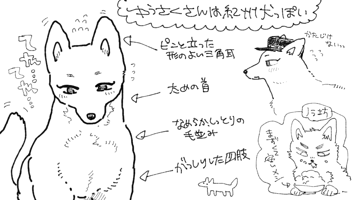 つやつやであってほしい 