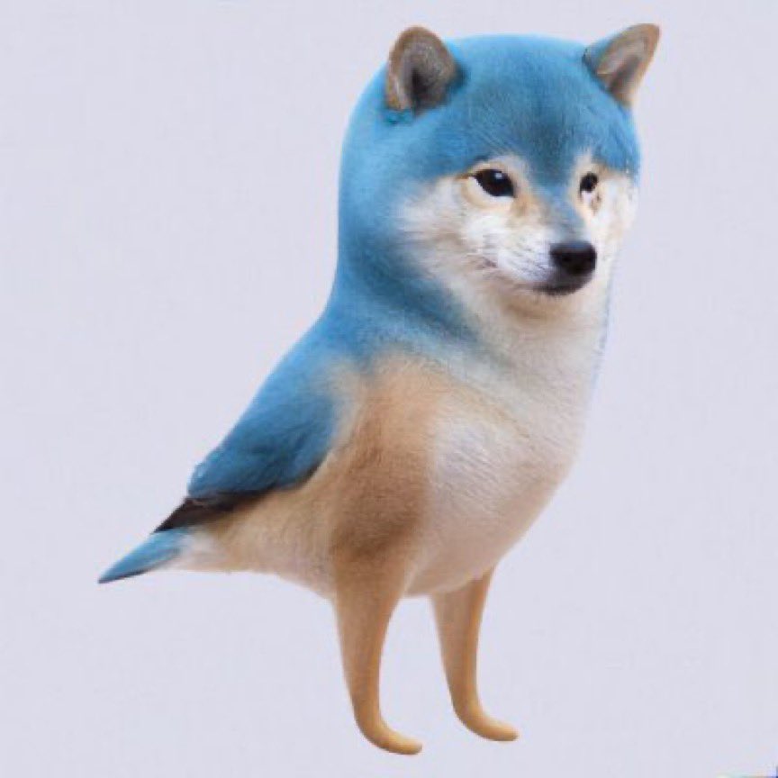 New Species, Twitter #Doge 😂