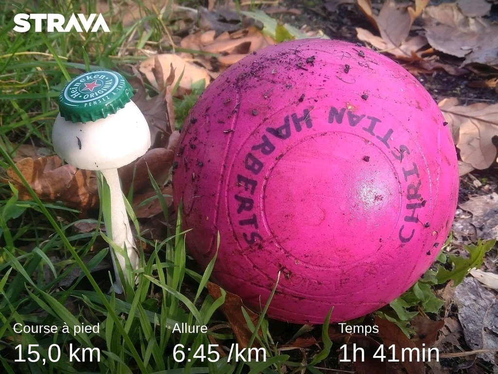 TRAILBALL tweet media