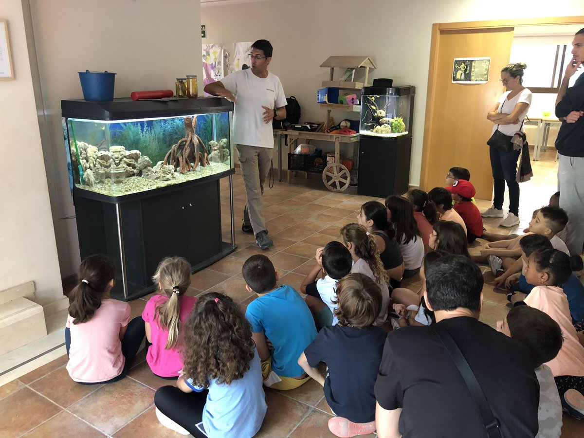NaturayCultura2's tweet photo. “La calidad del agua es fundamental para la conservación de las especies endémicas como el #Fartet y #Samaruc” actividad #EducaciónAmbiental @aigueshorta con primaria https://t.co/77zAPoooTa