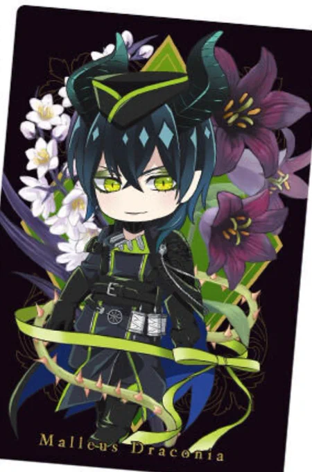 この白い方のお花が名前気になってたもの…… 