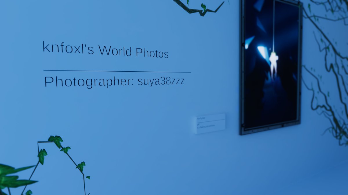 knfoxl's tweet photo. 2階にてｽﾔ井中さん(@suya38zzz)に撮影していただいたワールドの写真を展示しています。 https://t.co/LNtyEREfUm