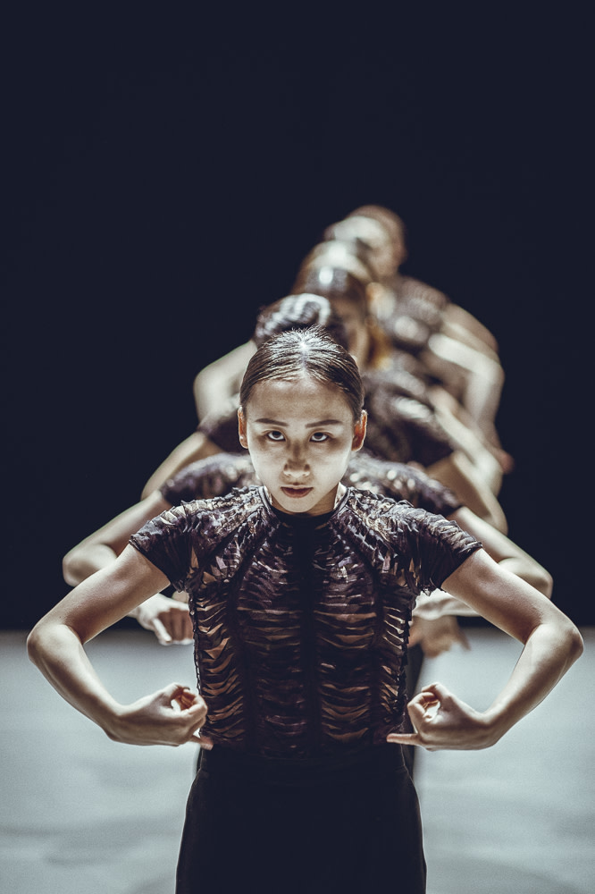 NDT (@ndtdance) on Twitter photo Tonight is the final performance of the premiere weekend of NDT 2's 'Now here, Now always' in <a href="/amaredenhaag/">Amare - Den Haag</a>. Get the final tickets via ndt.nl/en/agenda/now-…
Can't make it to The Hague? After tonight, NDT 2 will tour throughout the Netherlands!
Photo: Rahi Rezvani Tonight is the final performance of the premiere weekend of NDT 2's 'Now here, Now always' in <a href="/amaredenhaag/">Amare - Den Haag</a>. Get the final tickets via ndt.nl/en/agenda/now-…
Can't make it to The Hague? After tonight, NDT 2 will tour throughout the Netherlands!
Photo: Rahi Rezvani