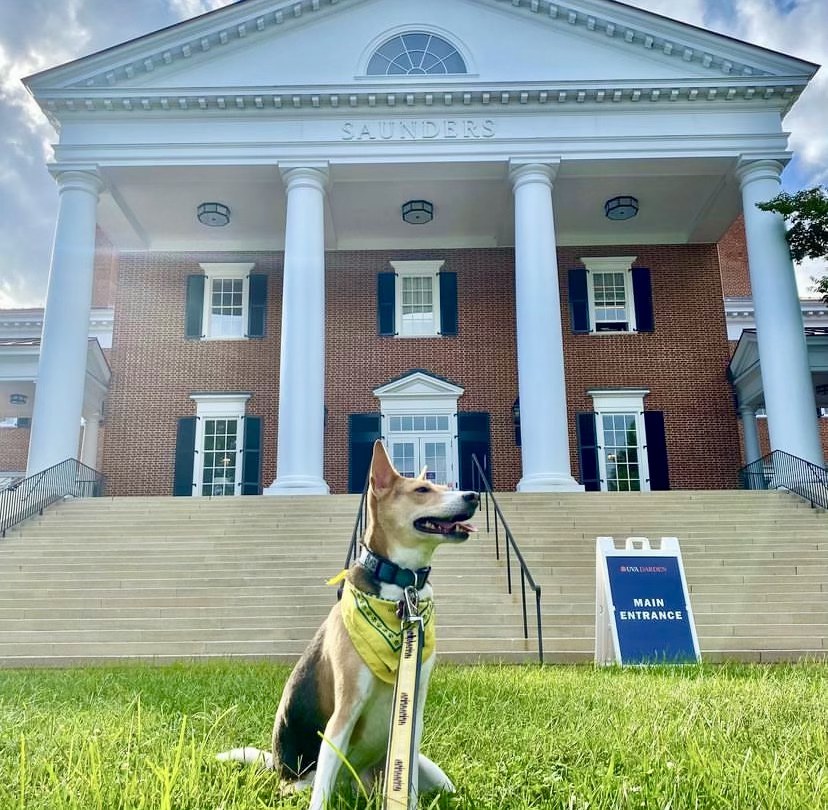 DardenMBA's tweet photo. Please take a moment to allow the #DogsofDarden to bless your timeline and brighten your day! ๐ ๐ถ
World, meet Laguna (yellow kerchief), Pepper & Theodore (blue shirt)!
#WhyDarden #UVADarden #wahoowa #DardenMBA #Cvilledogs https://t.co/DhlitwwReN