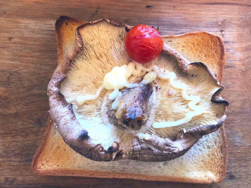 p_pxxx's tweet photo. #PpxResort #PpxVegetable
椎茸の栽培はじめました🍄
#Ppxkitchen
地元の道の駅でどでかい椎茸買いました 今朝の朝食 椎茸パン🍞 https://t.co/kf7kpwDtv0