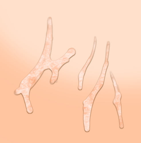 ( ˘ω˘)新しいお汁メイクを思いついたかもしれないけど要検討 