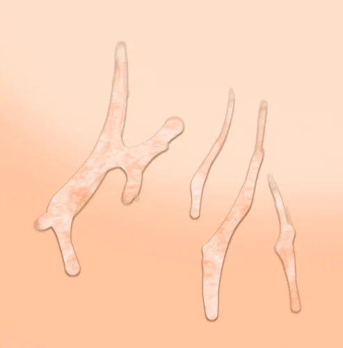 ( ˘ω˘)新しいお汁メイクを思いついたかもしれないけど要検討 