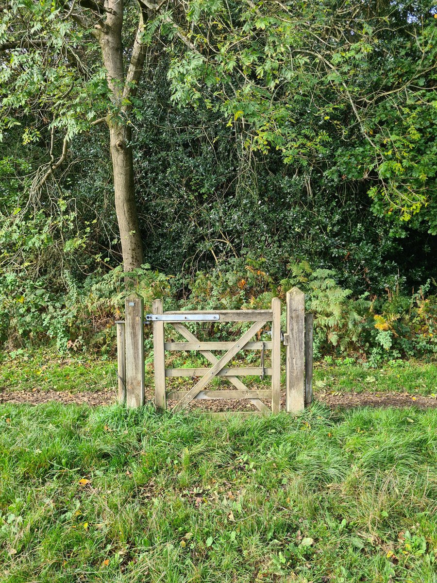 No Context Brits tweet media