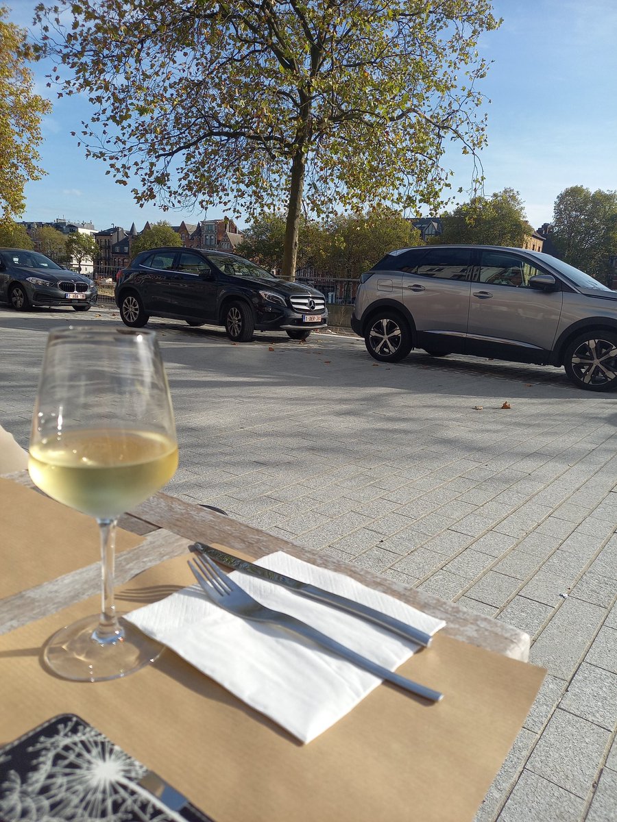 CarolienKrijnen's tweet photo. Heerlijk terrasje in de zon met zicht op de nieuwe wandelboulevard #zuidpark #Antwerpen. Pardon, ik bedoel op de bovengronds geparkeerde auto's.
Wat een miskleun. Zelfs de cafébaas is er niet blij mee, en dat zegt veel. Elke avond #overlast.
#koningauto
#parkeren
#mobiliteit https://t.co/pQL7bD1XfP