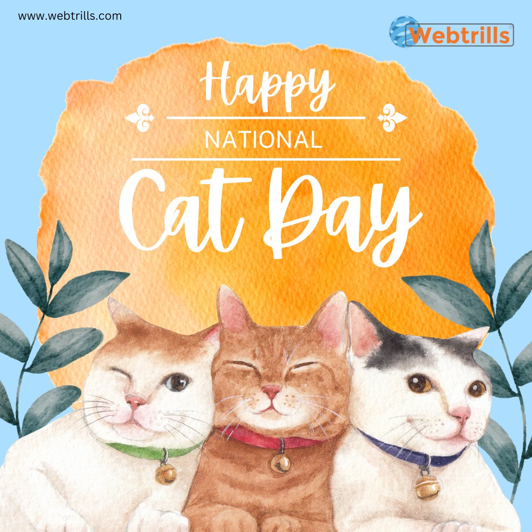 webtrillsdotcom's tweet photo. Happy National Cat Day 
.
#webtrills #NationalCatDay #CatDay #catlovers #catpersons #CuteCats #nationaldays #usadays https://t.co/PXTCPBKgTf
