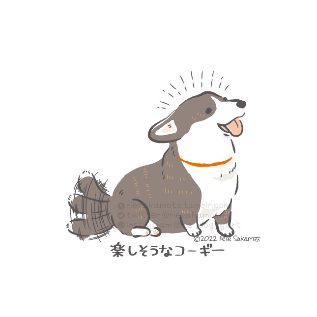 tail wagging dog no humans animal focus tongue out tongue white background  illustration images