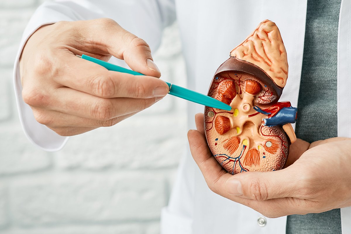 Böbrek kanseri tehdit ediyor. Görülme sıklığı giderek her geçen gün artan böbrek kanseri, özellikle ileri yaş grubunda daha fazla görülüyor. #ameliyat #bobrekkanseri #DoçDrÇağlayanGeredeli #Hipertansiyon #İmmün #Istanbul #metastatik #ProfDrİrfanÇiçin

doctorsbpm.com/bobrek-kanseri…