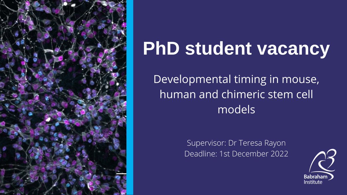 📢📢Looking for a #PhD student for the lab @BabrahamInst 🐭⌛️👤⏳ Researchers: Please share the info with grad students that you think may be interested Grad students: Check if this project interests you & get in touch! findaphd.com/phds/project/d…