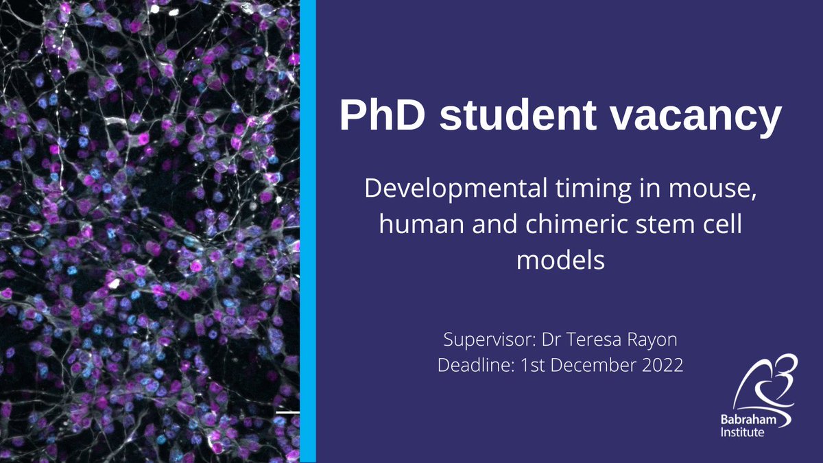 Teresa Rayon (@t_rayon) on Twitter photo 📢📢Looking for a #PhD student for the lab <a href="/BabrahamInst/">Babraham Institute</a> 🐭⌛️👤⏳
Researchers: Please share the info with grad students that you think may be interested
Grad students: Check if this project interests you & get in touch!
findaphd.com/phds/project/d… 📢📢Looking for a #PhD student for the lab <a href="/BabrahamInst/">Babraham Institute</a> 🐭⌛️👤⏳
Researchers: Please share the info with grad students that you think may be interested
Grad students: Check if this project interests you & get in touch!
findaphd.com/phds/project/d…