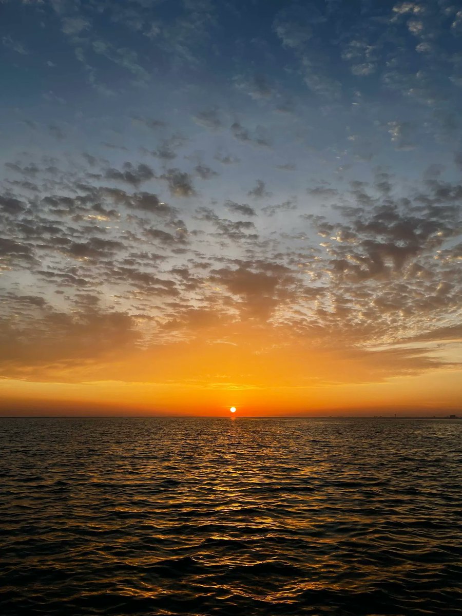 aestheticspost_'s tweet photo. Sunset https://t.co/l57NGlaQSY