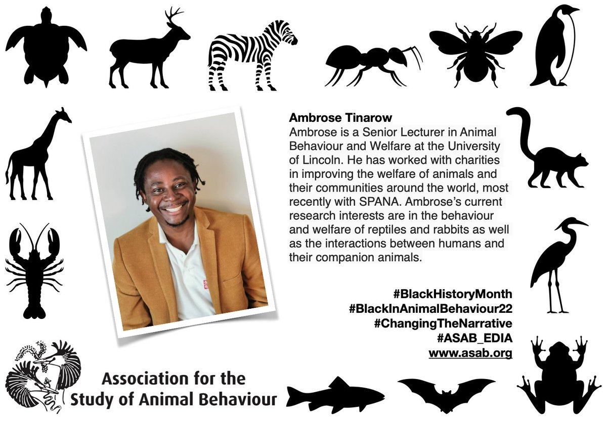 asab_org's tweet photo. Ambrose is the Programme Leader for the MSc in Clinical Animal Behaviour @unilincoln https://t.co/nUhnpWos9T Ambrose &amp; @SPANAcharity work to improving the welfare of animals and their communities🌍 #BlackHistoryMonth #ChangingTheNarrative #ASAB_EIDA #BlackInAnimalBehaviour22 https://t.co/jxmkxtH5rI